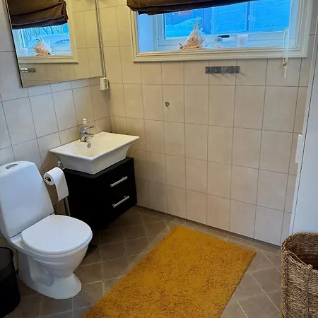 Perfect House In With Sea-view 度假居 亨宁斯韦尔